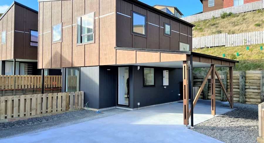  at 20 Astelia Way, Woodridge, Wellington, Wellington