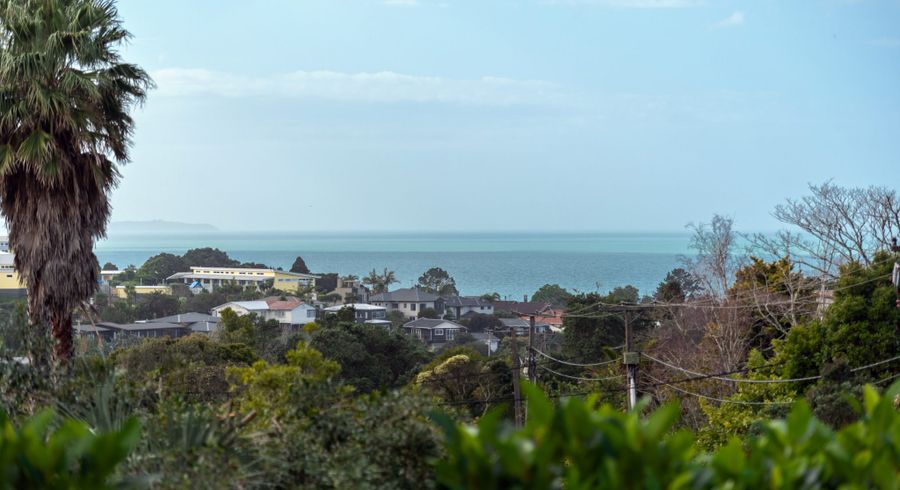  at 6A Braemar Road, Castor Bay, North Shore City, Auckland
