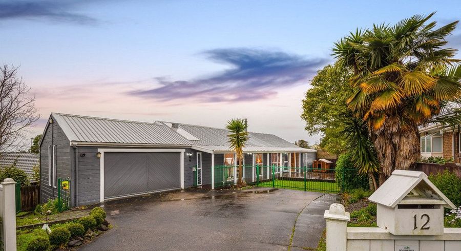  at 12 Princess Maria Place, Massey, Waitakere City, Auckland