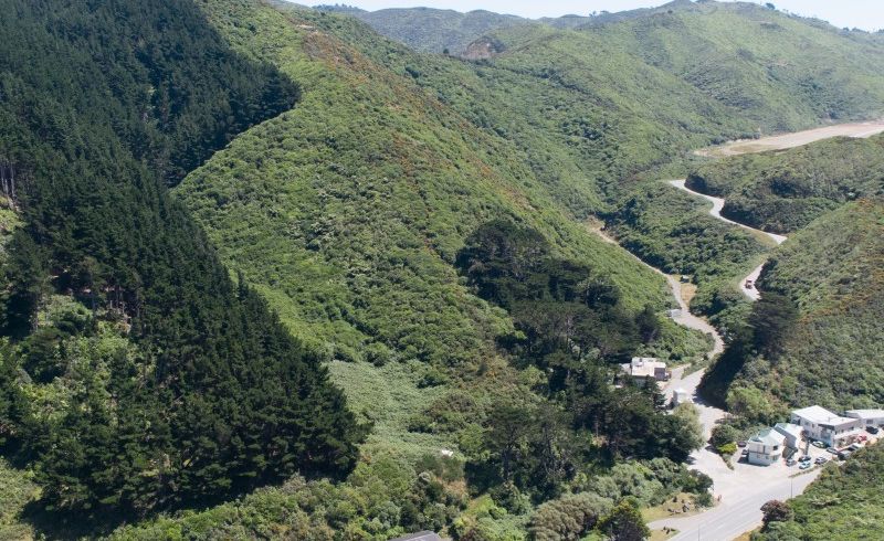  at 291 Happy Valley Road, OWHIRO BAY 6023, WELLINGTON