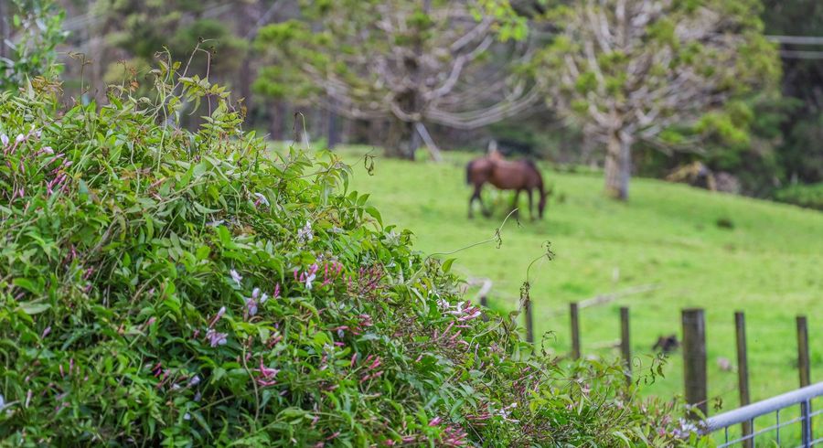  at Lot 3, 10 Kraack Road, Warkworth, Rodney, Auckland