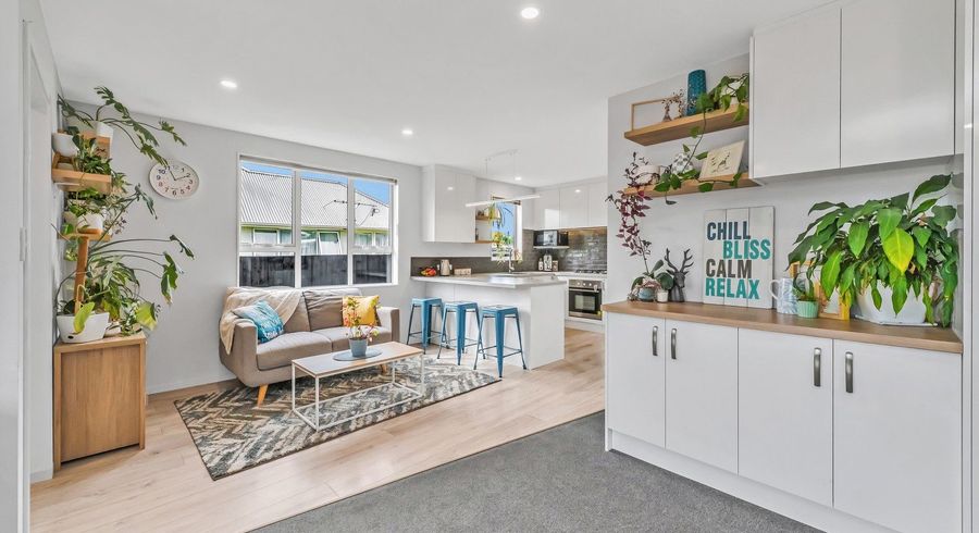  at 48 Briggs Road, Mairehau, Christchurch City, Canterbury