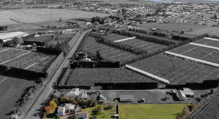  at 51 Otara Road, Ōtara, Ōpōtiki