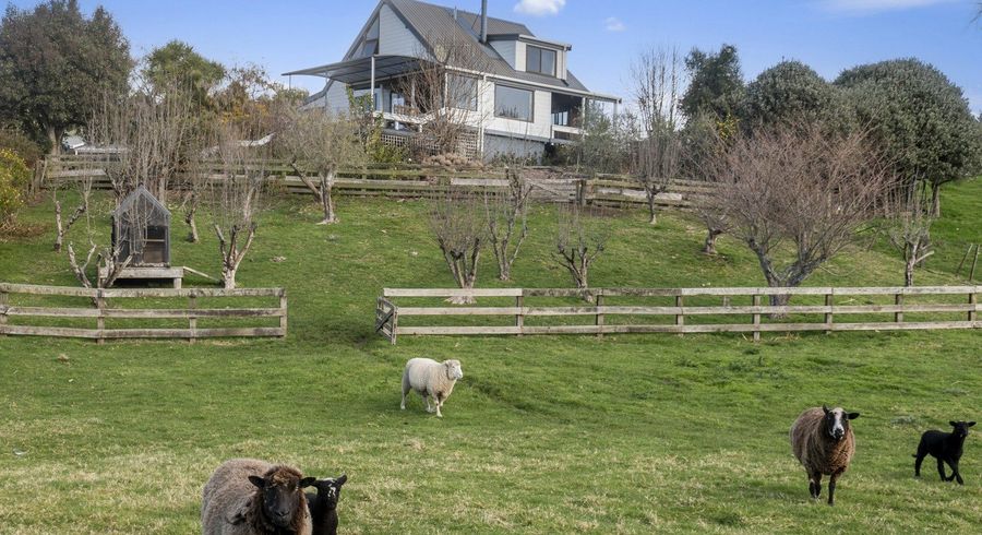  at 73 Dansey Road, Ngongotaha Valley, Rotorua, Bay Of Plenty
