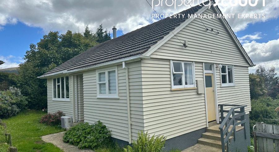  at 29 Cockerell Street, Brockville, Dunedin