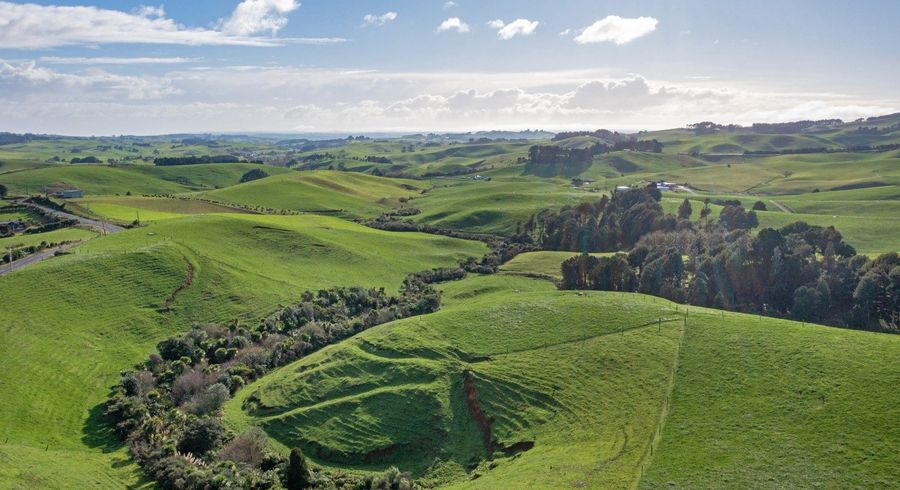  at 119 Te Papatapu Road, Raglan, Waikato, Waikato