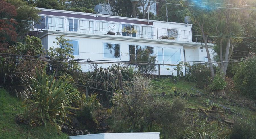  at 8 Queen Street, North Dunedin, Dunedin, Otago