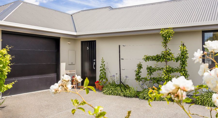  at 3/57 Saint Martins Road, Saint Martins, Christchurch