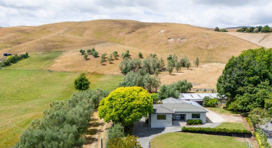  at 487 Middle Road, Hastings