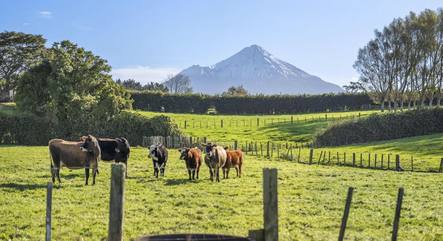  at 241 Warwick Road, Stratford, Stratford, Taranaki