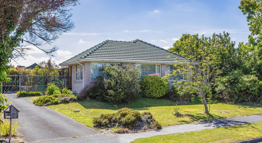  at 14 Harling Avenue, Hillmorton, Christchurch
