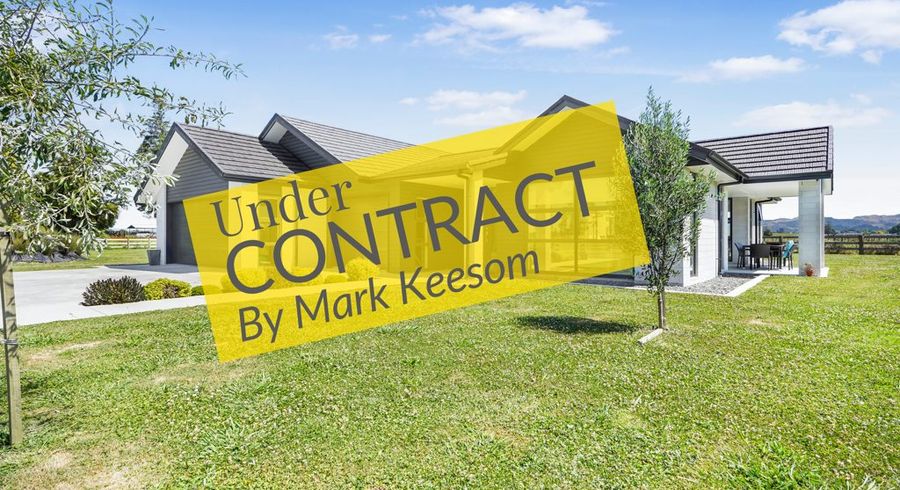  at 101 Livingstone Road, Ngahinapouri, Hamilton