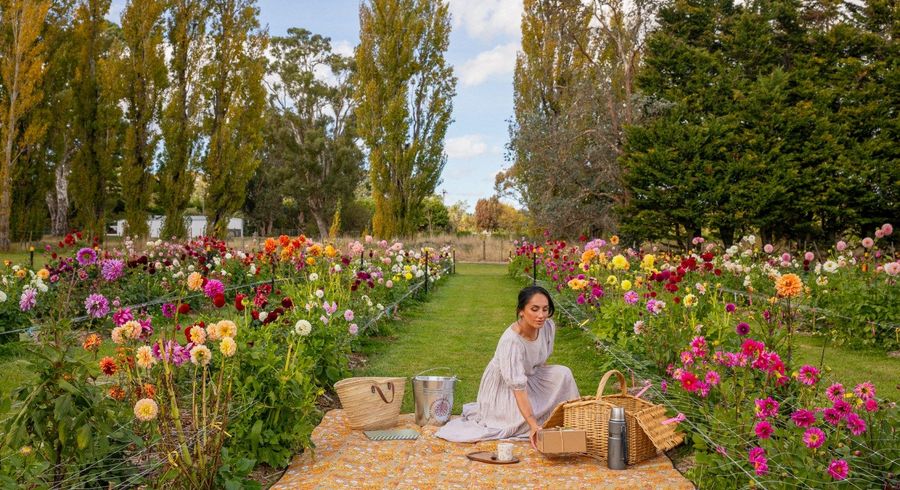  at 58 Moroa Road, Martinborough, South Wairarapa, Wellington