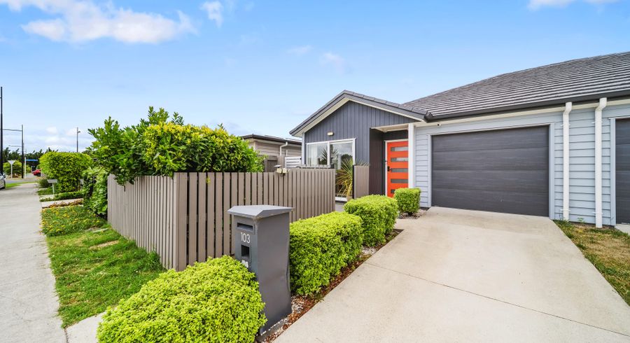  at 103 Kuaka Drive, Takanini, Papakura, Auckland