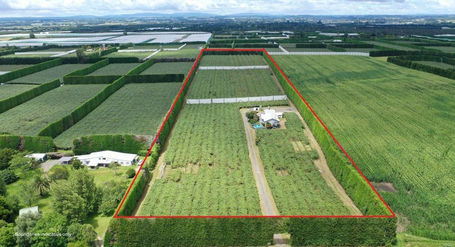  at 136 Kelly Road, Te Puke, Western Bay Of Plenty, Bay Of Plenty