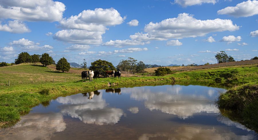 at 6 Pigs Head Road, HIKURANGI, Hikurangi