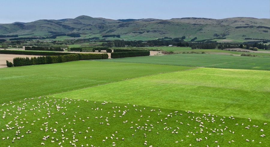  at Warr Road., Balfour, Southland, Southland