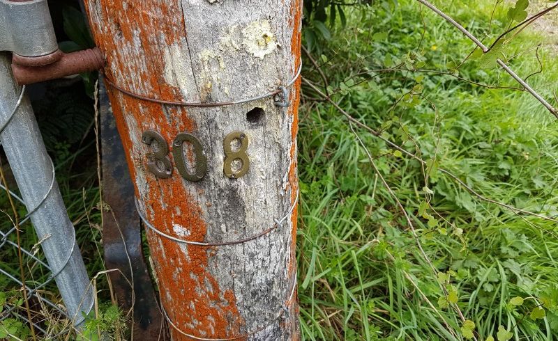  at 308 Normandale Road, Belmont, Lower Hutt