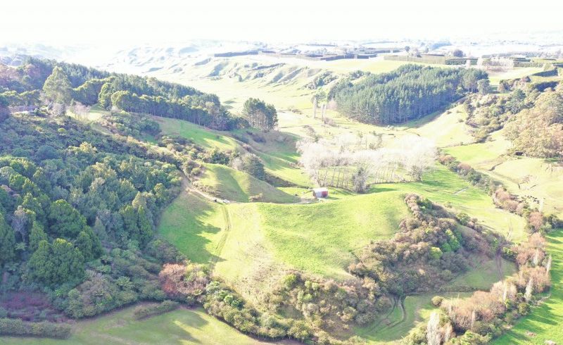  at 671A Paerata Ridge Road, Opotiki
