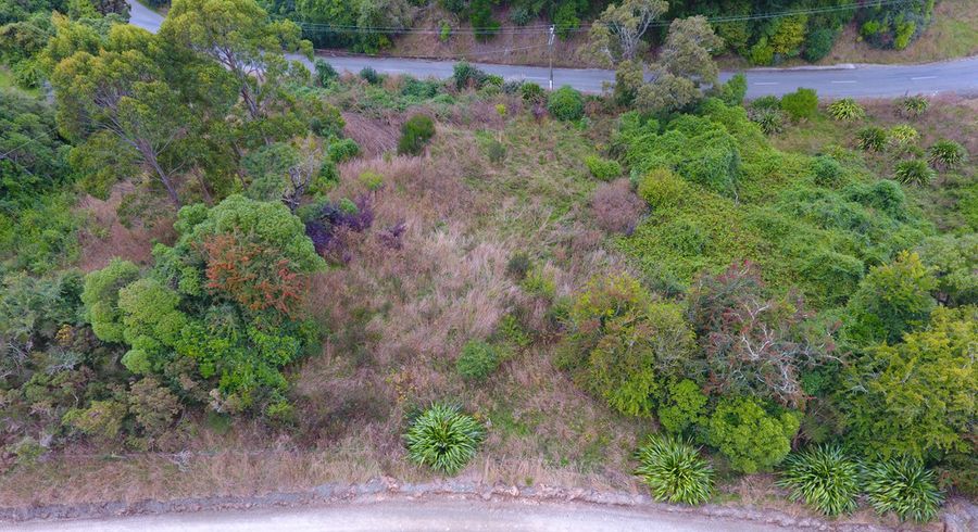  at 14 Tenby Street, Palmerston