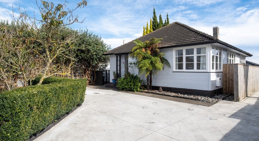  at 175 Nikau Street, Saint Leonards, Hastings