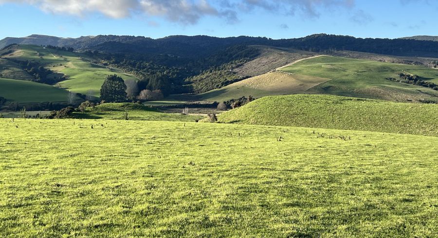  at 295 Stirling Road, Otapiri, Southland, Southland