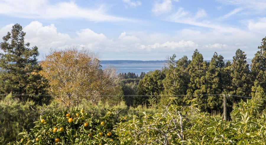  at 270 Wharawhara Road, Katikati, Western Bay Of Plenty, Bay Of Plenty