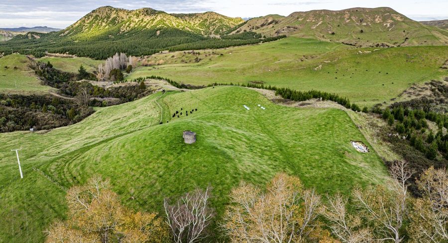  at 828 Matahorua Road, Putorino, Hastings, Hawke's Bay