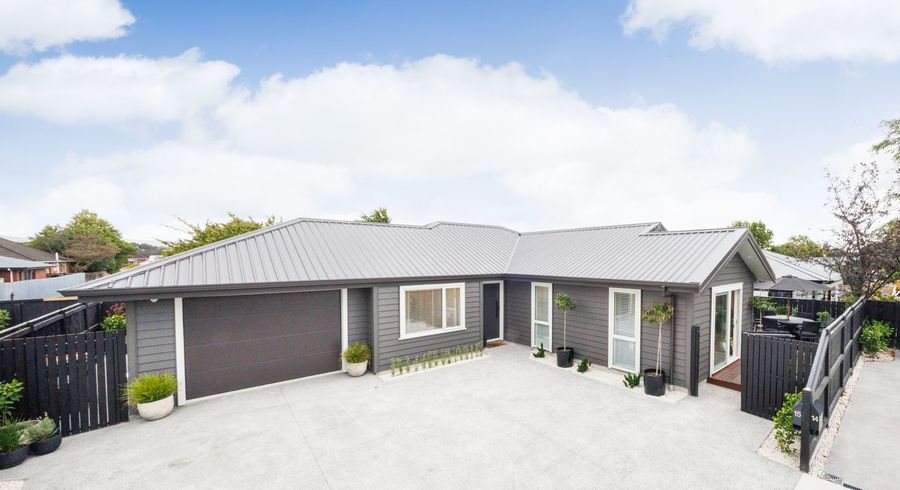  at 15 Samuel Place, Terrace End, Palmerston North