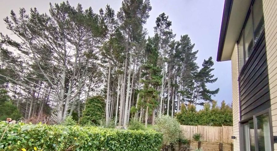  at 74 Harrowglen Drive, Northcross, Auckland