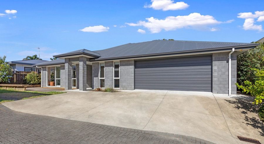  at 19A Crescent Road, Otumoetai, Tauranga