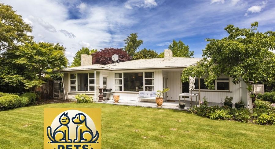  at 17 Desmond Street, Fendalton, Christchurch City, Canterbury