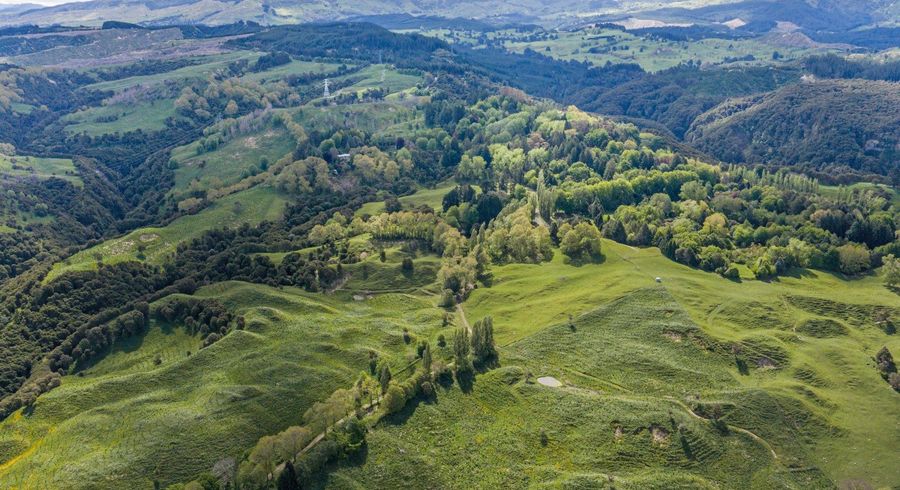  at 558 Old Coach Road, Te Pohue, Hastings, Hawke's Bay