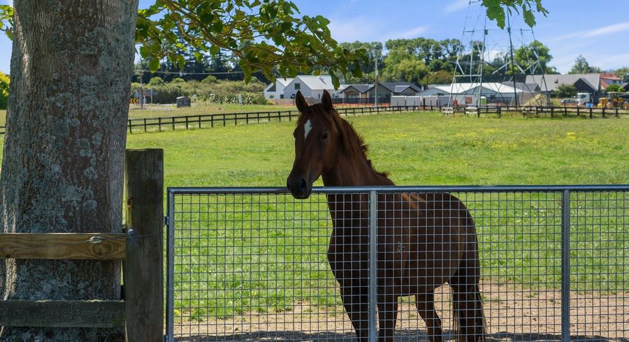  at 3714 Cambridge Road, Leamington, Waipa, Waikato