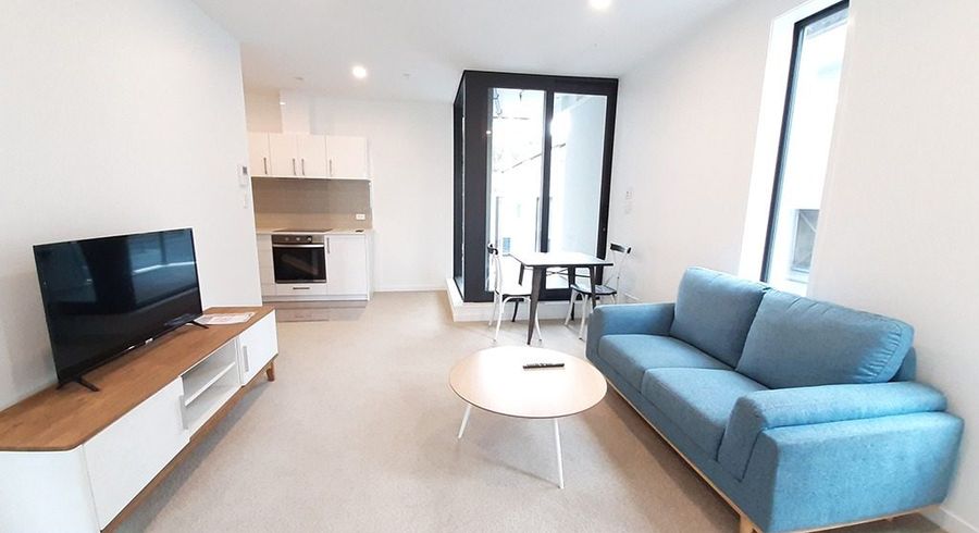  at 501/79 Airedale Street, City Centre, Auckland City, Auckland