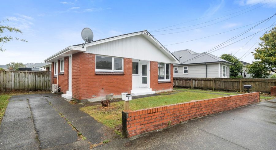  at 1/9 Green Street, Epuni, Lower Hutt