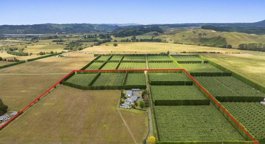  at Lot 1, 2155 State Highway 30, Te Teko, Whakatane, Bay Of Plenty