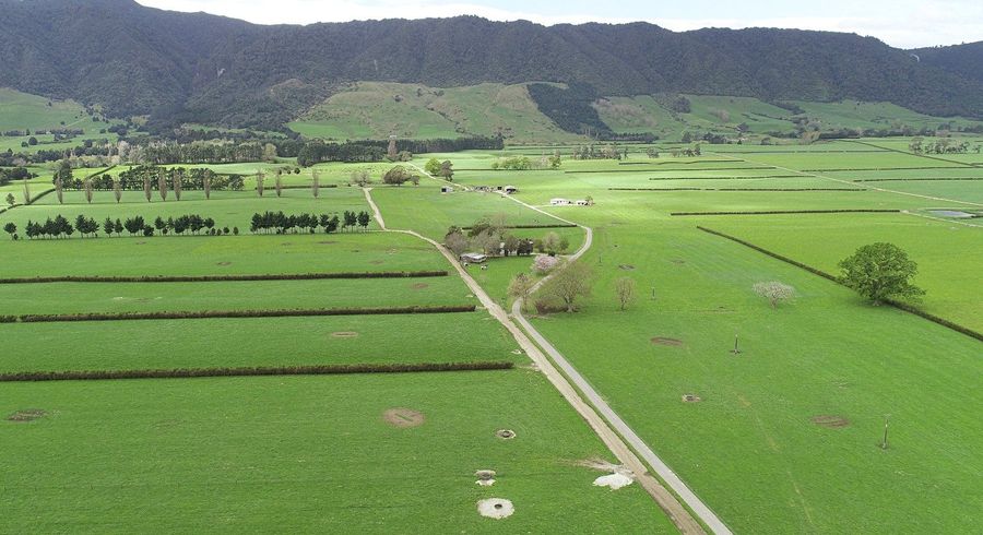  at 12/1212A Tower Road, Matamata, Matamata-Piako, Waikato