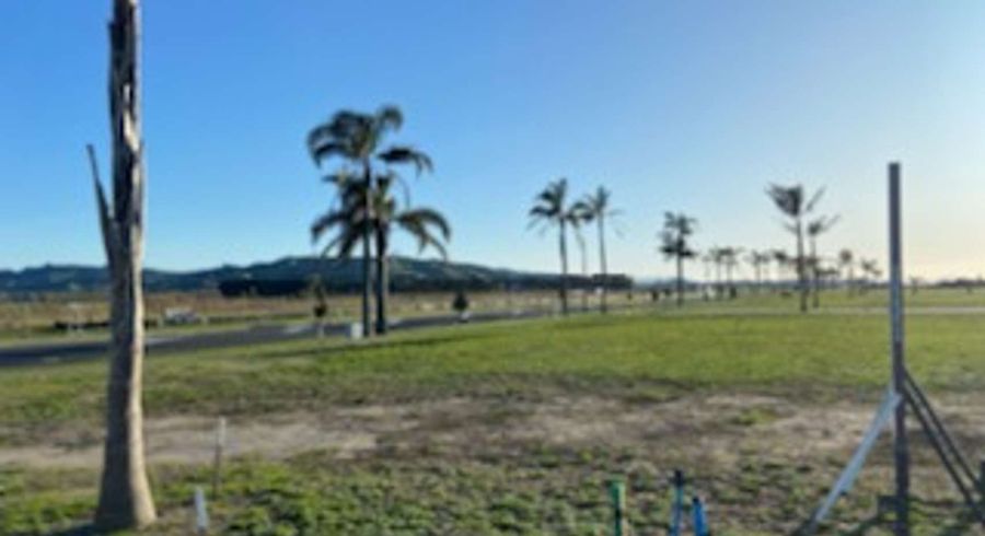  at 4 Entelea Close, Papamoa Beach, Papamoa