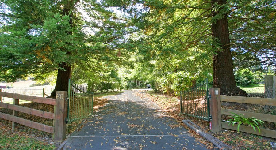  at 60 Elmore Road, Albany