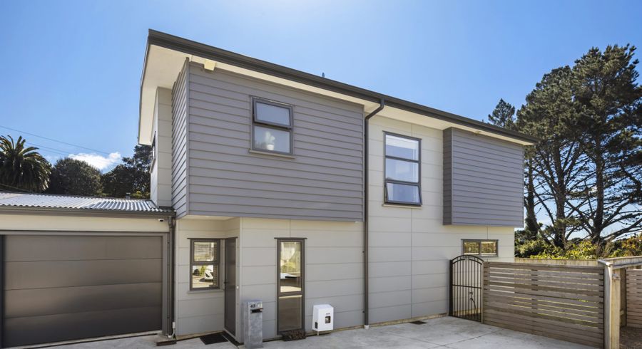  at 43 Brindle Way, Newlands, Wellington