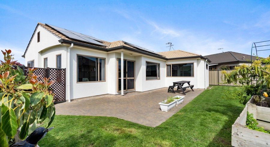  at 19 Aintree Place, Taradale, Napier