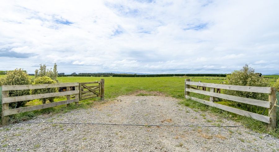  at 238 Chittock Road, MAITLAND, GORE