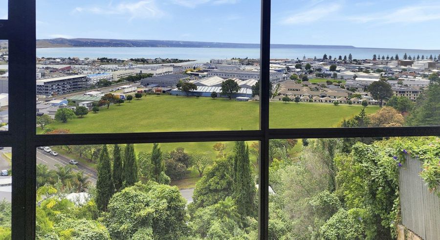  at 28 Hospital Terrace, Hospital Hill, Napier, Hawke's Bay