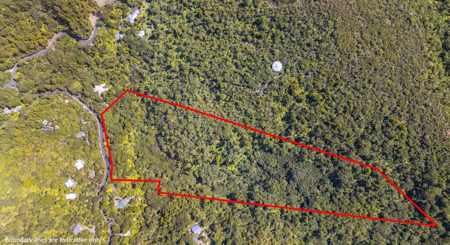  at 62 Lone Kauri Road, Karekare, Auckland