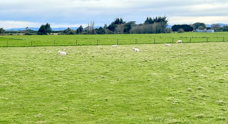  at 70 Woodlands Cemetery RD, Woodlands, Invercargill