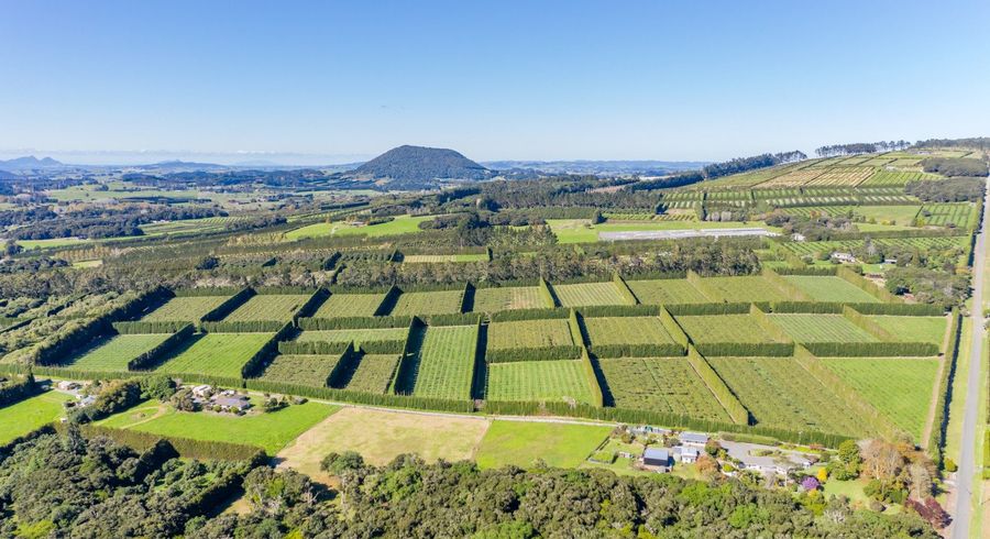 at Poroti, Whangarei, Northland