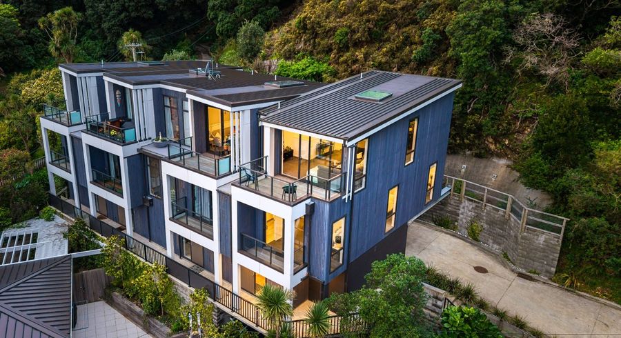  at 1C Wilkinson Street, Oriental Bay, Wellington, Wellington