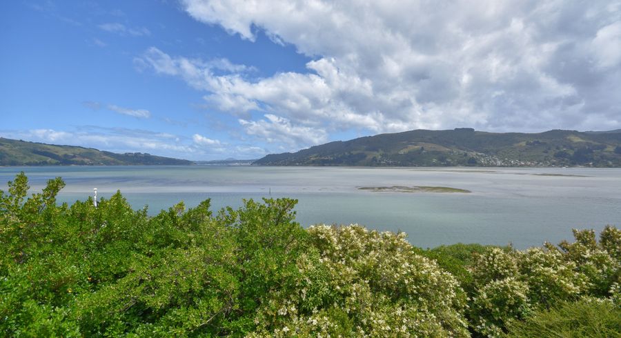  at 20 Bayne Terrace, Macandrew Bay, Dunedin