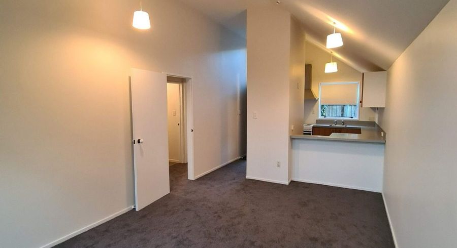  at 10 Rehua Lane, St. Albans, Christchurch City, Canterbury